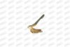 PRASCO DW0203703 Hinge, bonnet